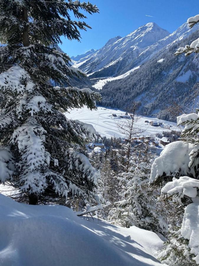 Hotel L'Edelweiss Pralognan-la-Vanoise Exterior photo